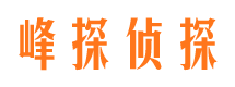 小河市侦探调查公司